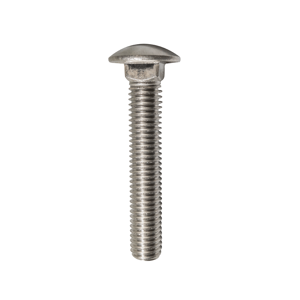 1/2 in. x 3 in. Stainless Steel Carriage Bolt BHUSA