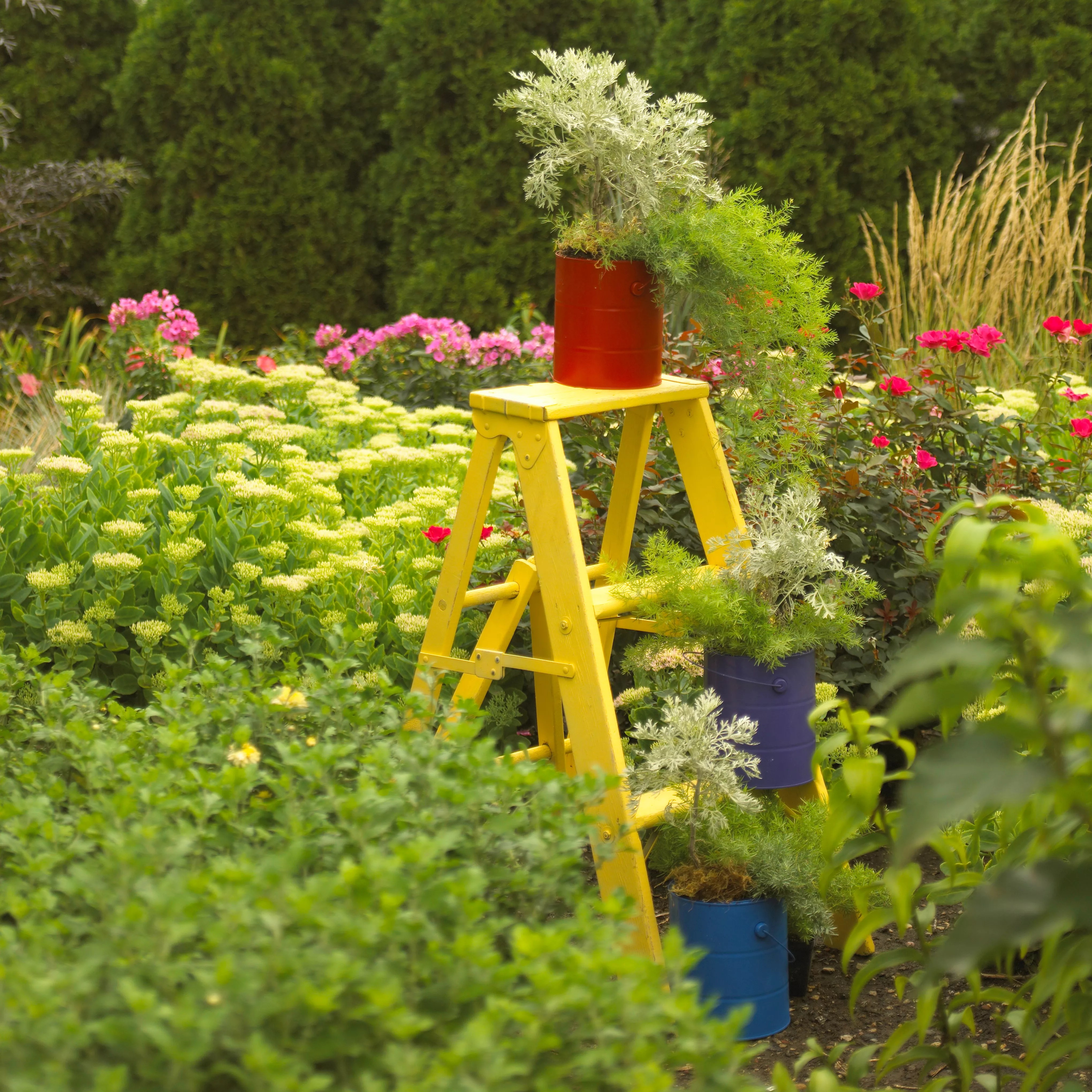 Garden ladder