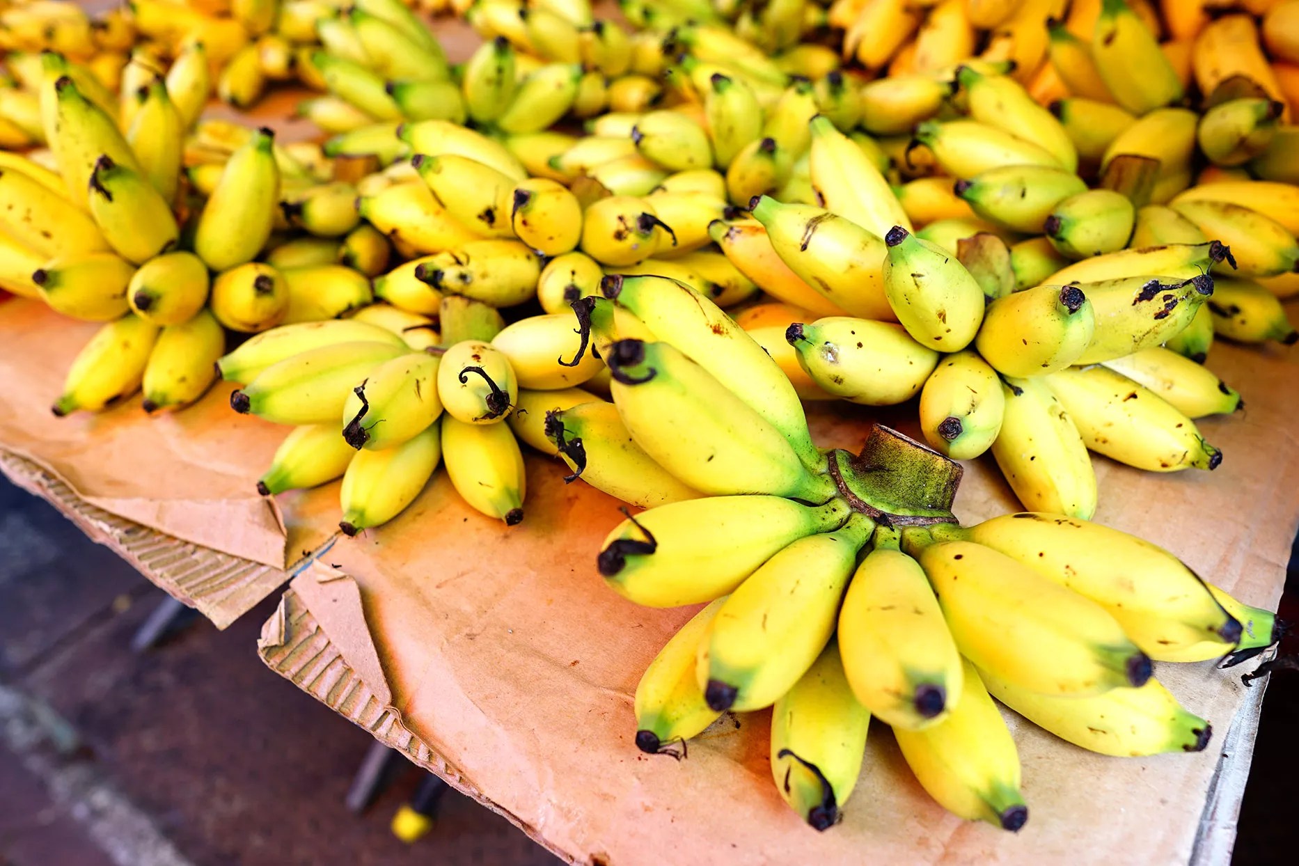 Manzano Banana