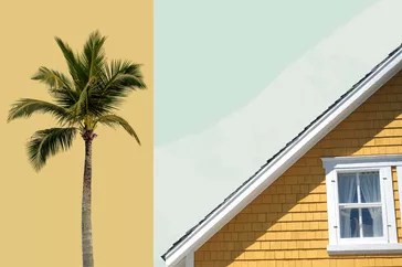 Palm tree and roof line of a yellow house