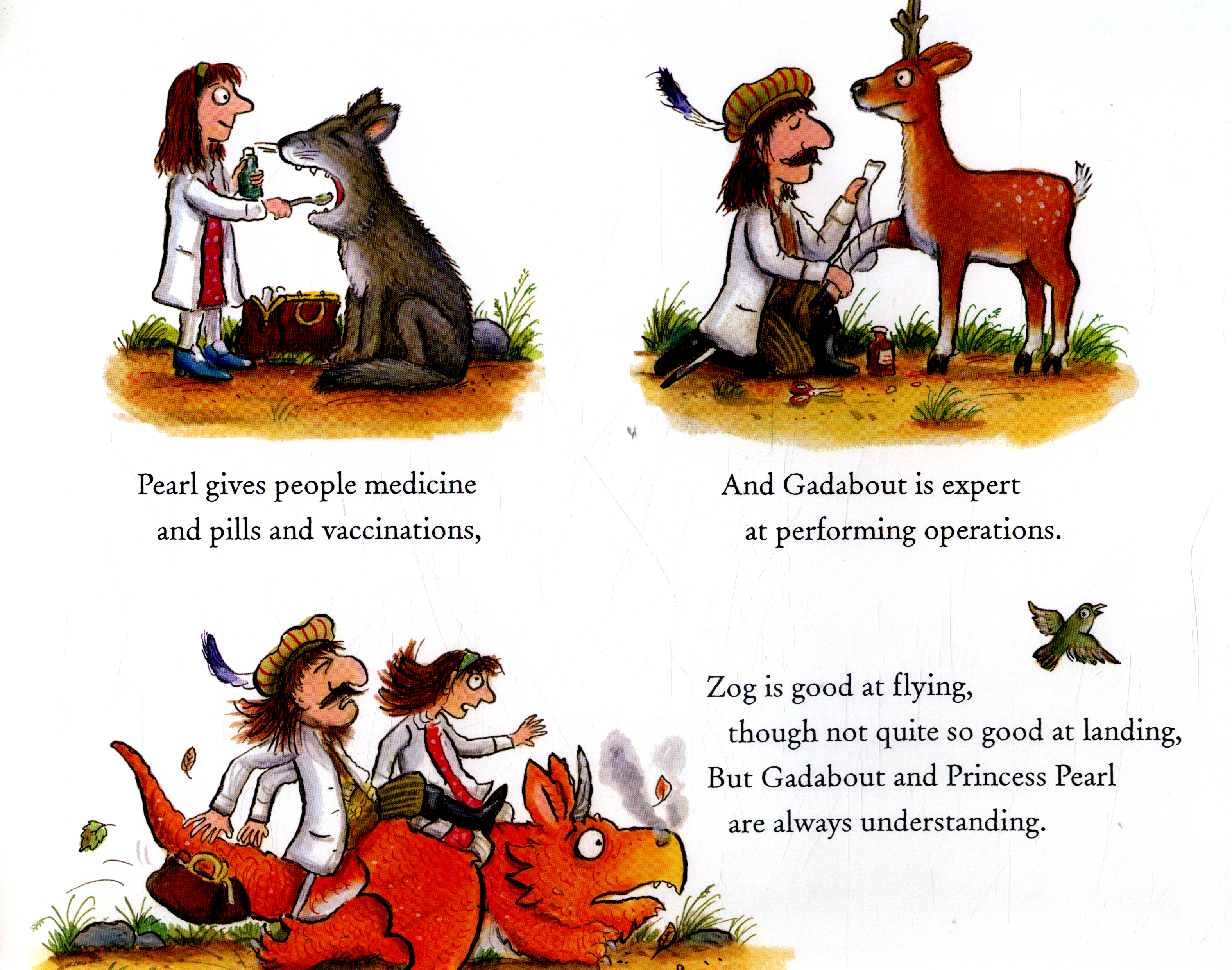 Zog and the flying doctors by Donaldson, Julia