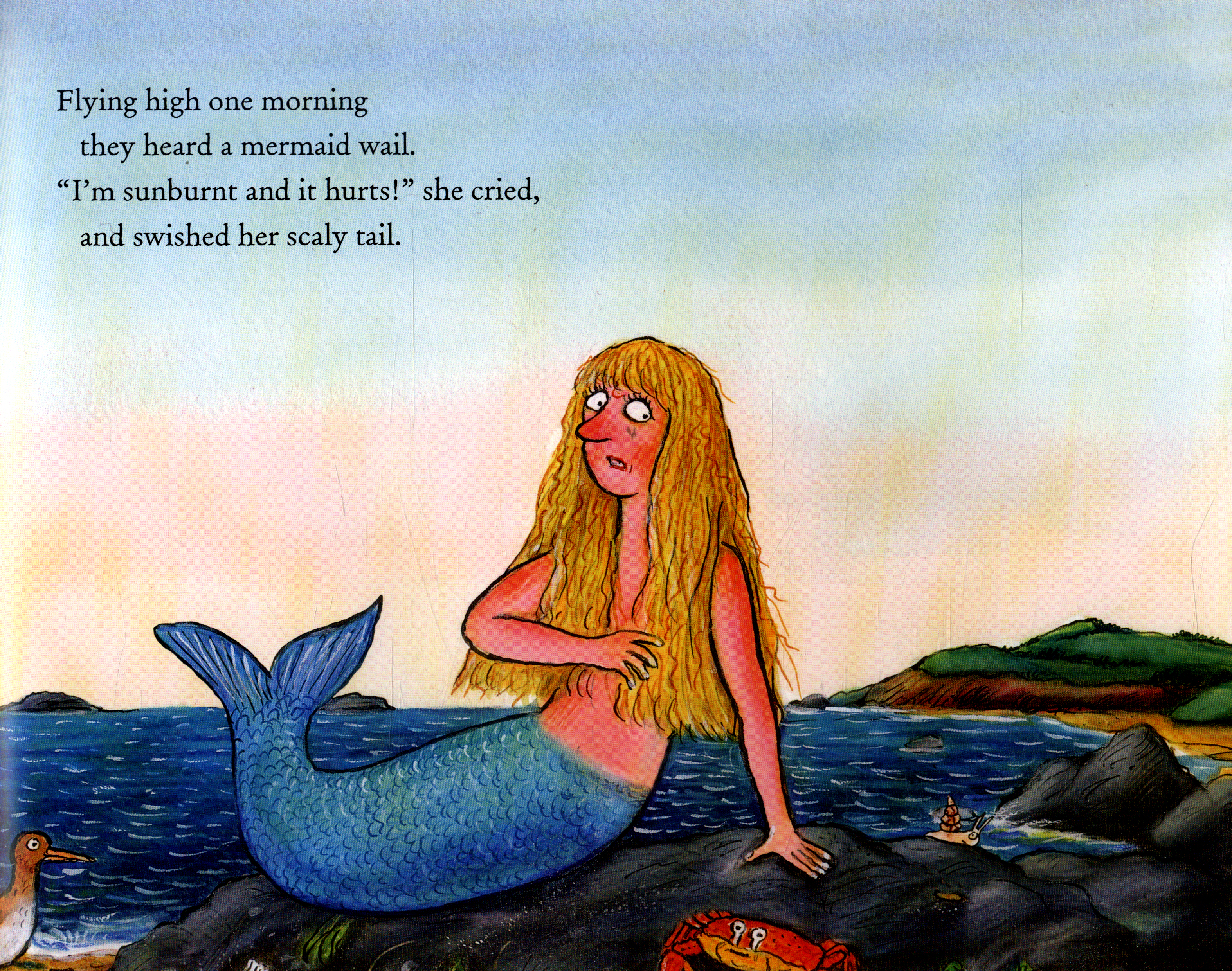 Zog and the flying doctors by Donaldson, Julia