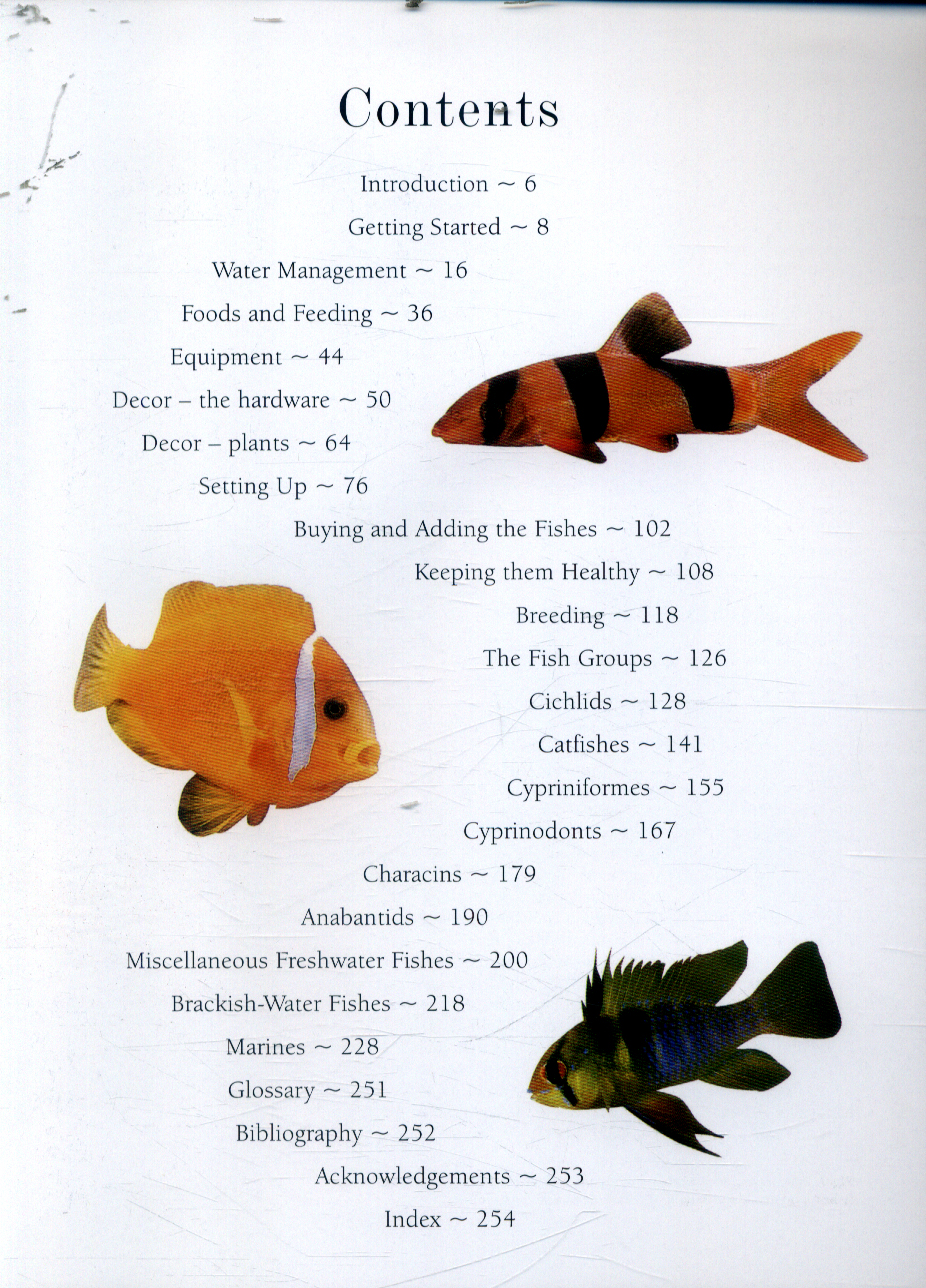 Aquarium fish a definitive guide to identifying and keeping