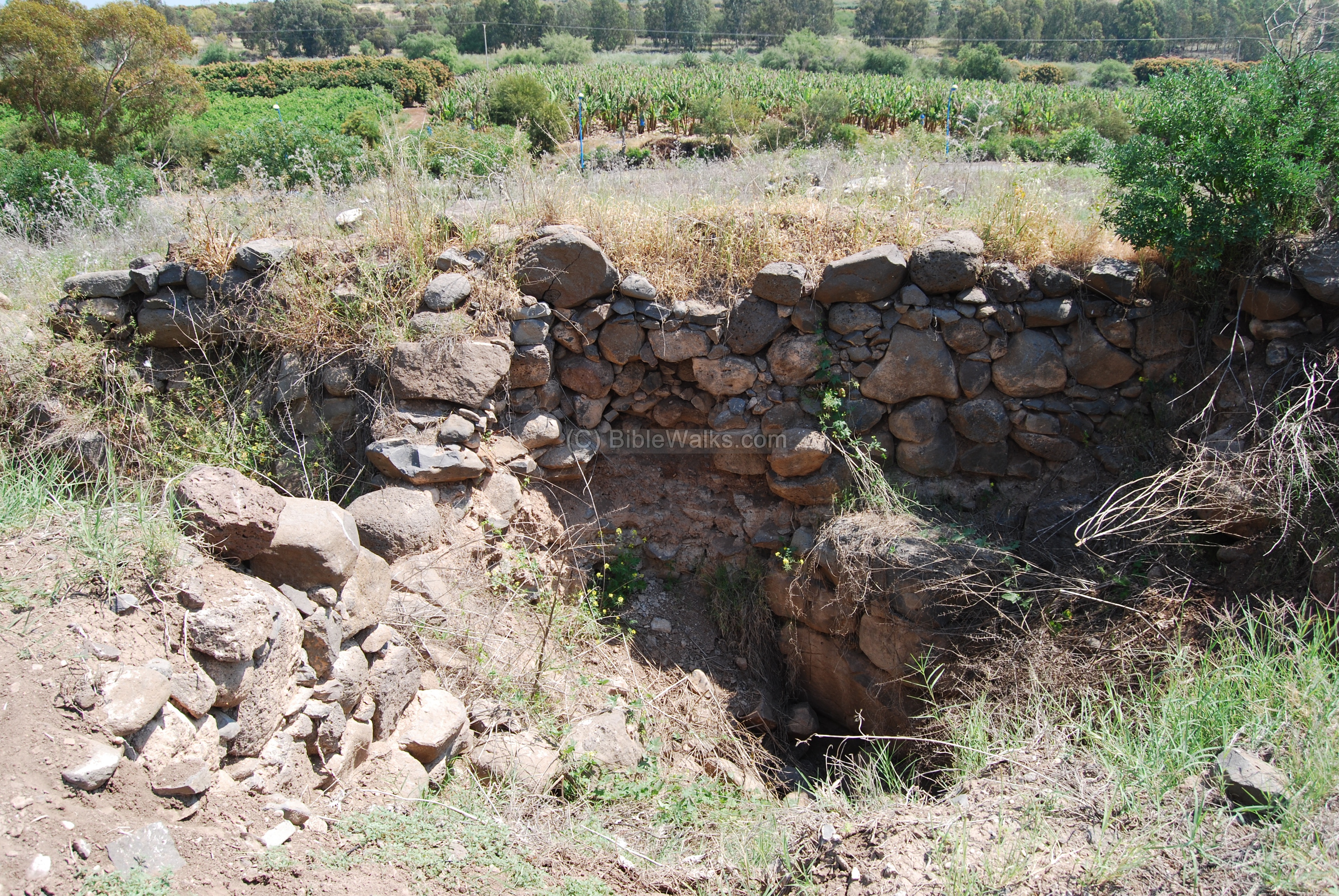 Tel Hadar BibleWalks 500+ sites