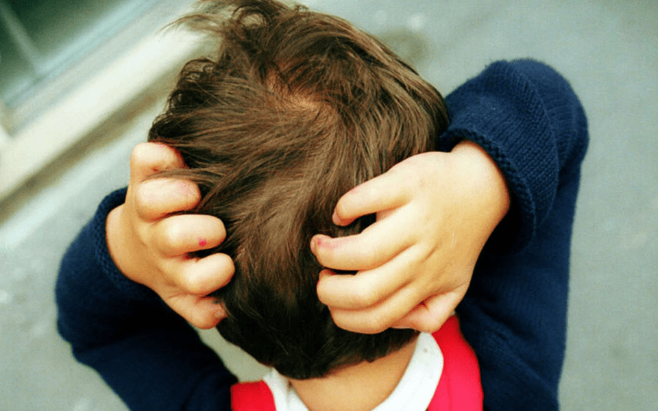 Malheureusement Pour Les Cheveux Pour Les Poux Aussi C Est La