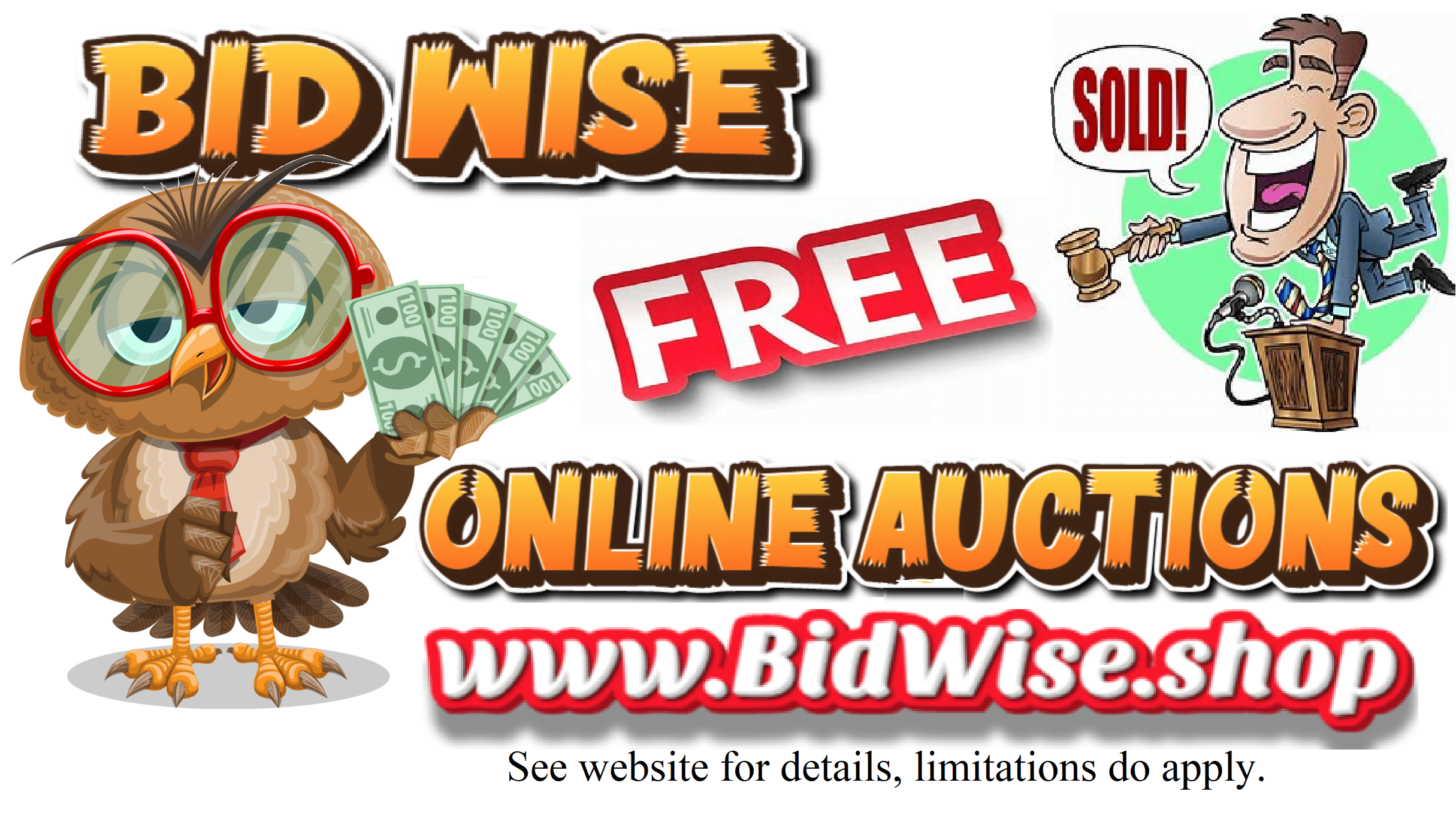 Bid Wise Online Auctions and Classifieds
