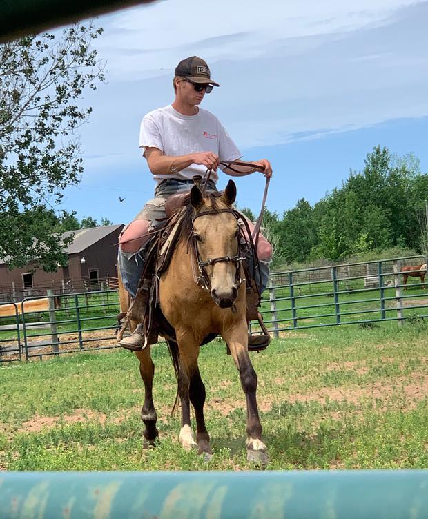 Horses for Sale and Stallions Standing by Bieber Red Willow Ranch