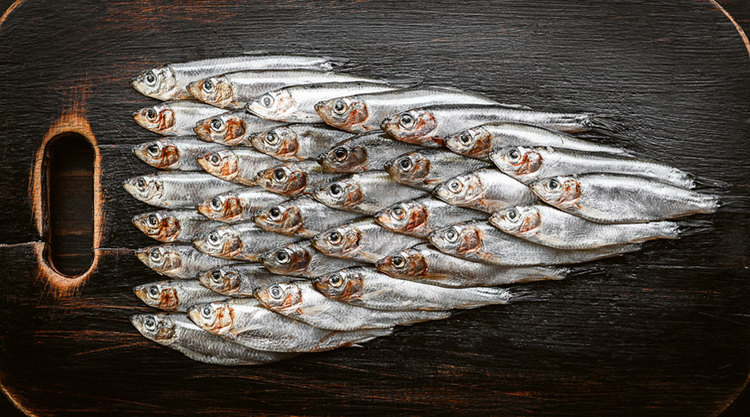 Anchois de Collioure les meilleurs anchois à acheter en ligne