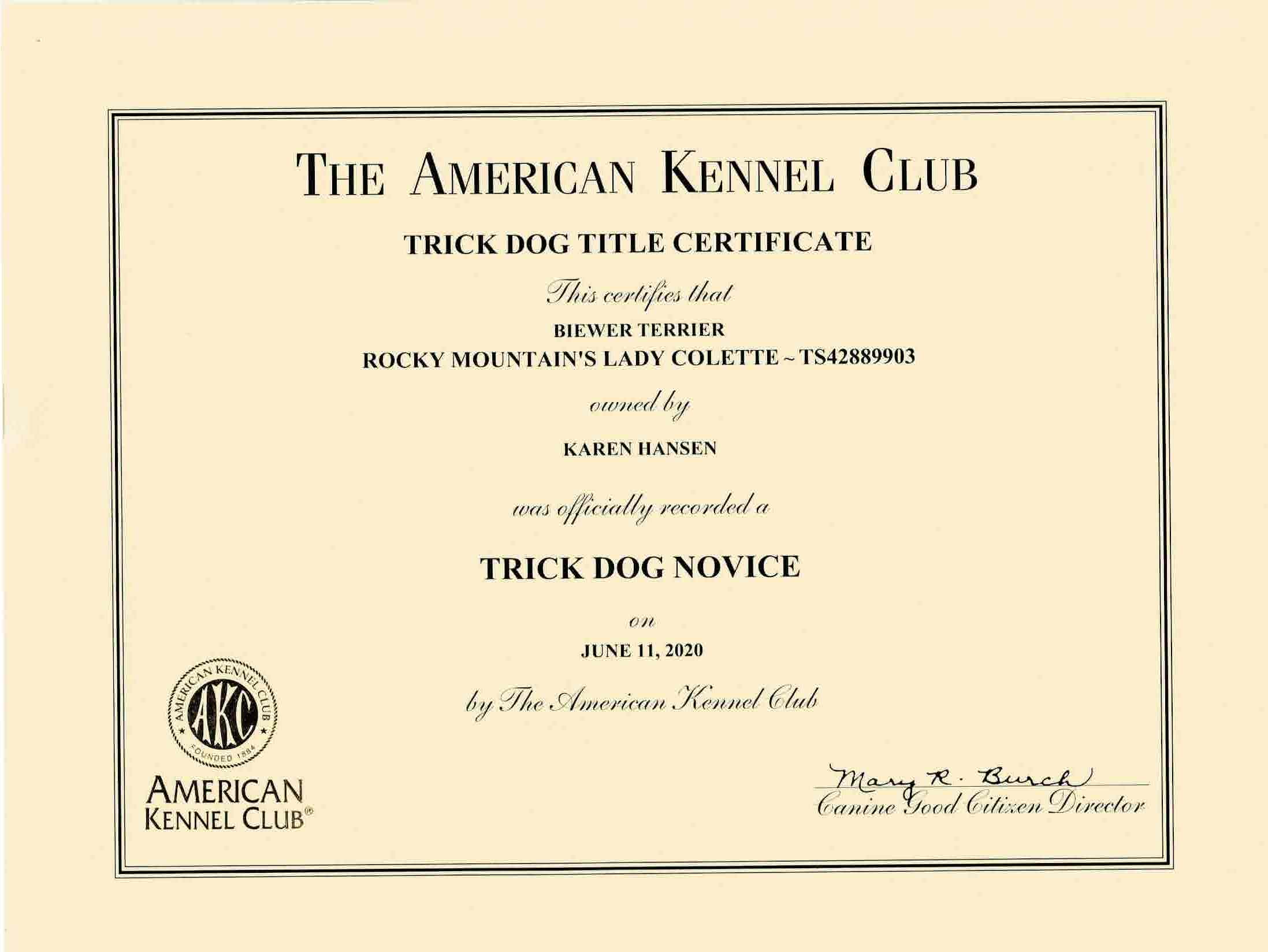 AKC Trick Dog & CGC Certificates Rocky Mountain Biewer Terriers