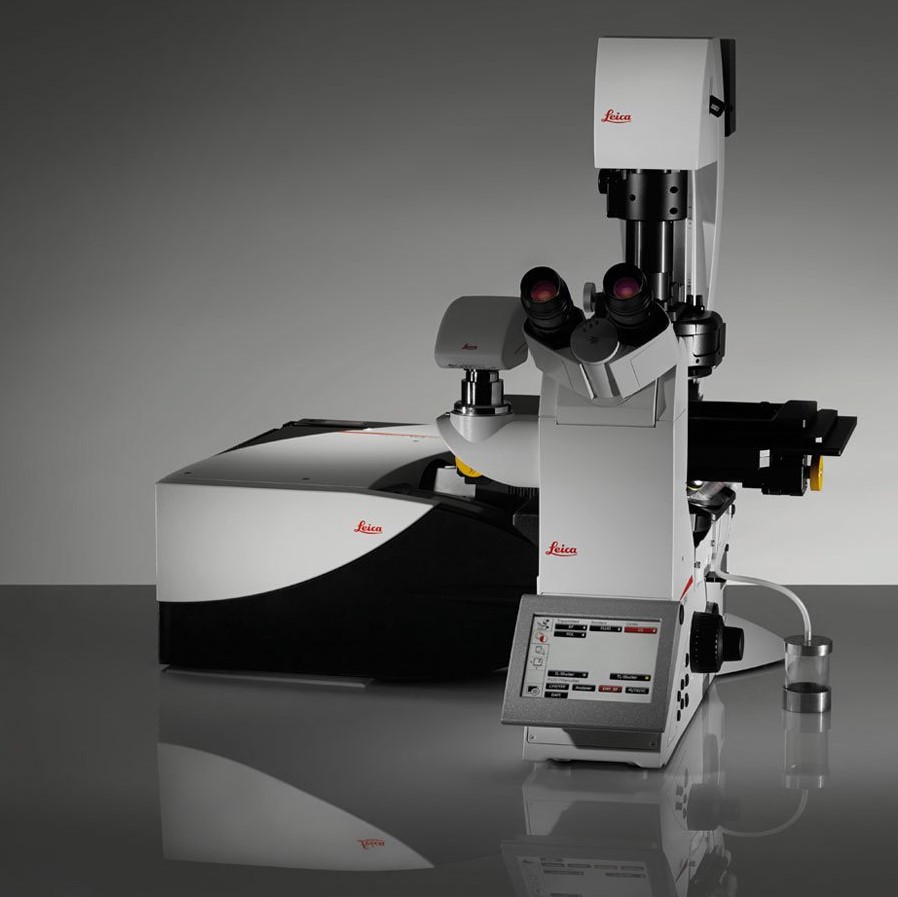 Leica TCS SP8 Confocal Microscope Biological Imaging Facility