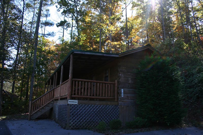 Whitetail Cabin Big Bear Cabin Rentals Franklin NC