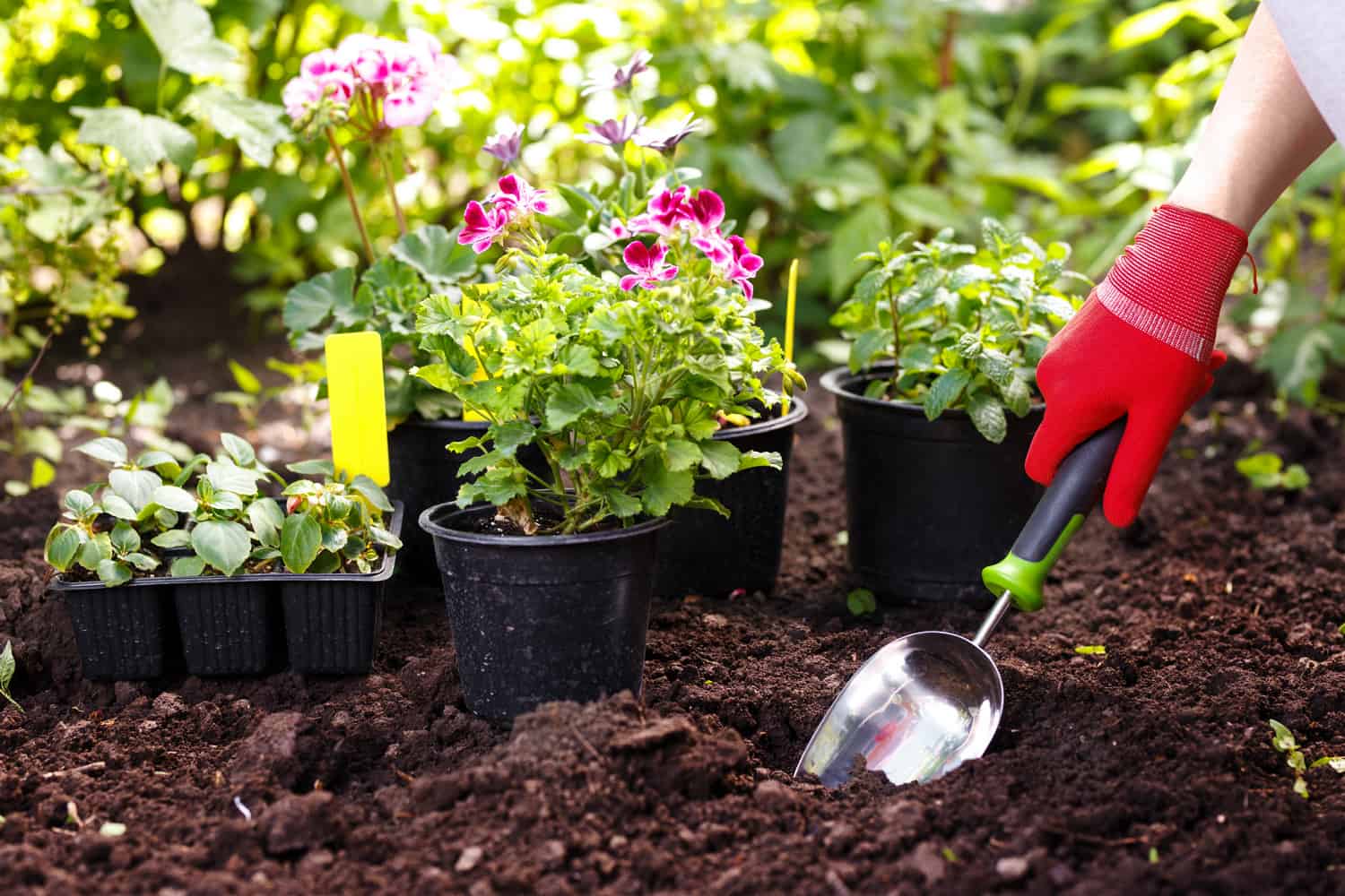 20 of the best garden gadgets for 2022 BigBery