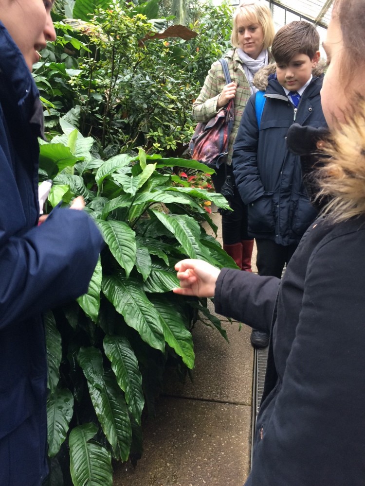Year 5 Kew Gardens 2017 photo gallery Biggin Hill Primary School