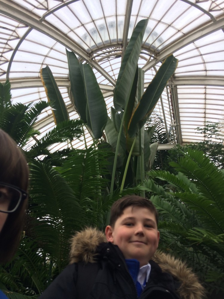 Year 5 Kew Gardens 2017 photo gallery Biggin Hill Primary School