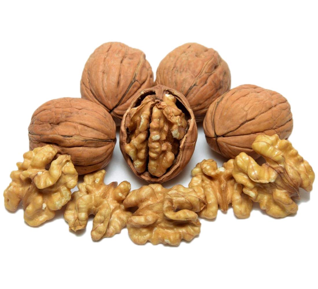 Solely Naturalz Jumbo Inshell Walnuts Big Size Inshell Walnuts
