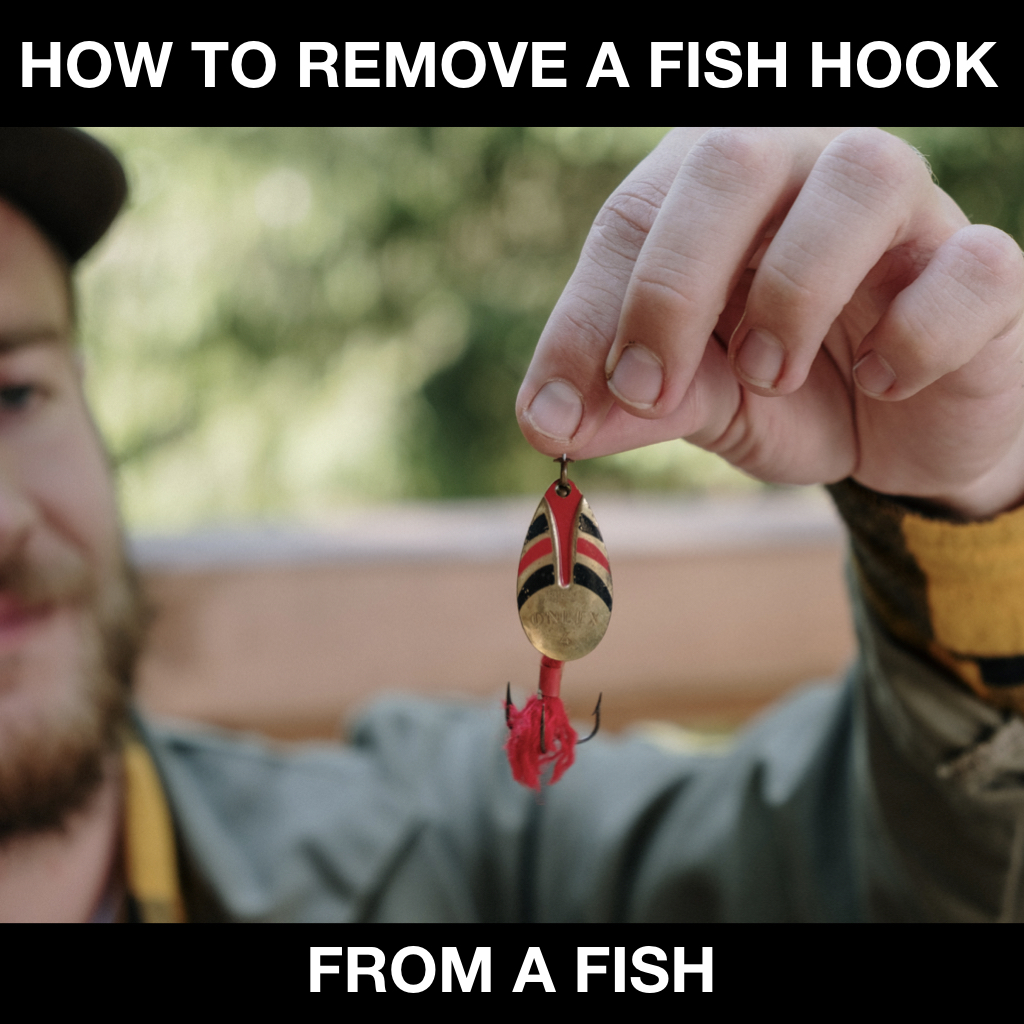 7 STEPS TO REMOVE A HOOK FROM A FISH BIG WORM FISHING