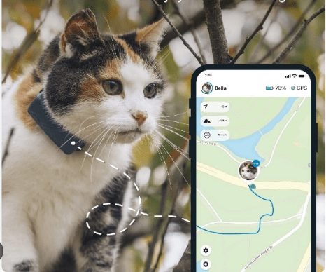 Woofapps The Ultimate Guide To Pet Care Applications Bigwritehook