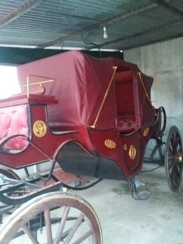 Angel Horse Baggi, Dhumbarahi, Kathmandu, Kathmandu