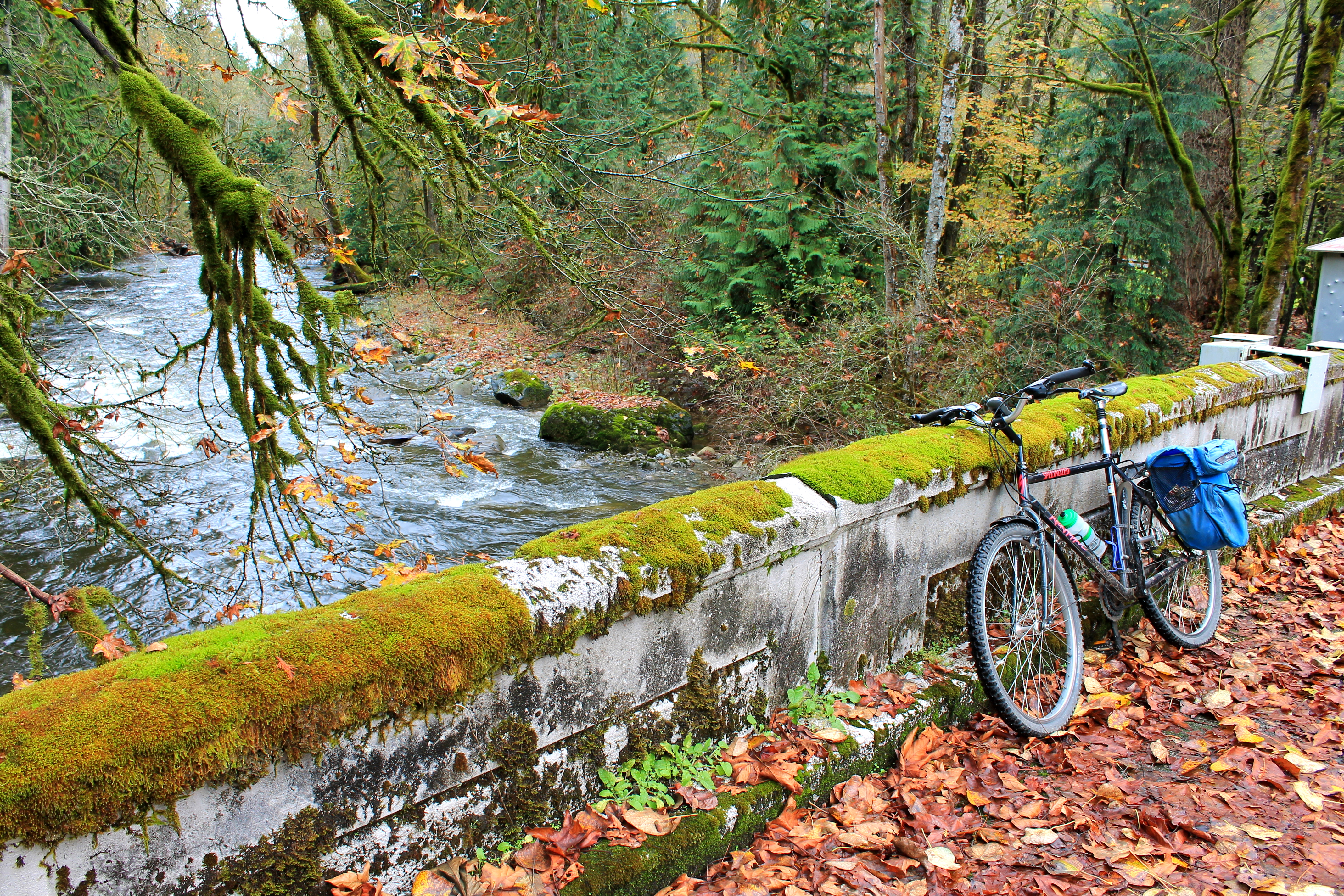 Biking out PrestonSnoqualmie Trail for some late season color Biking Bis