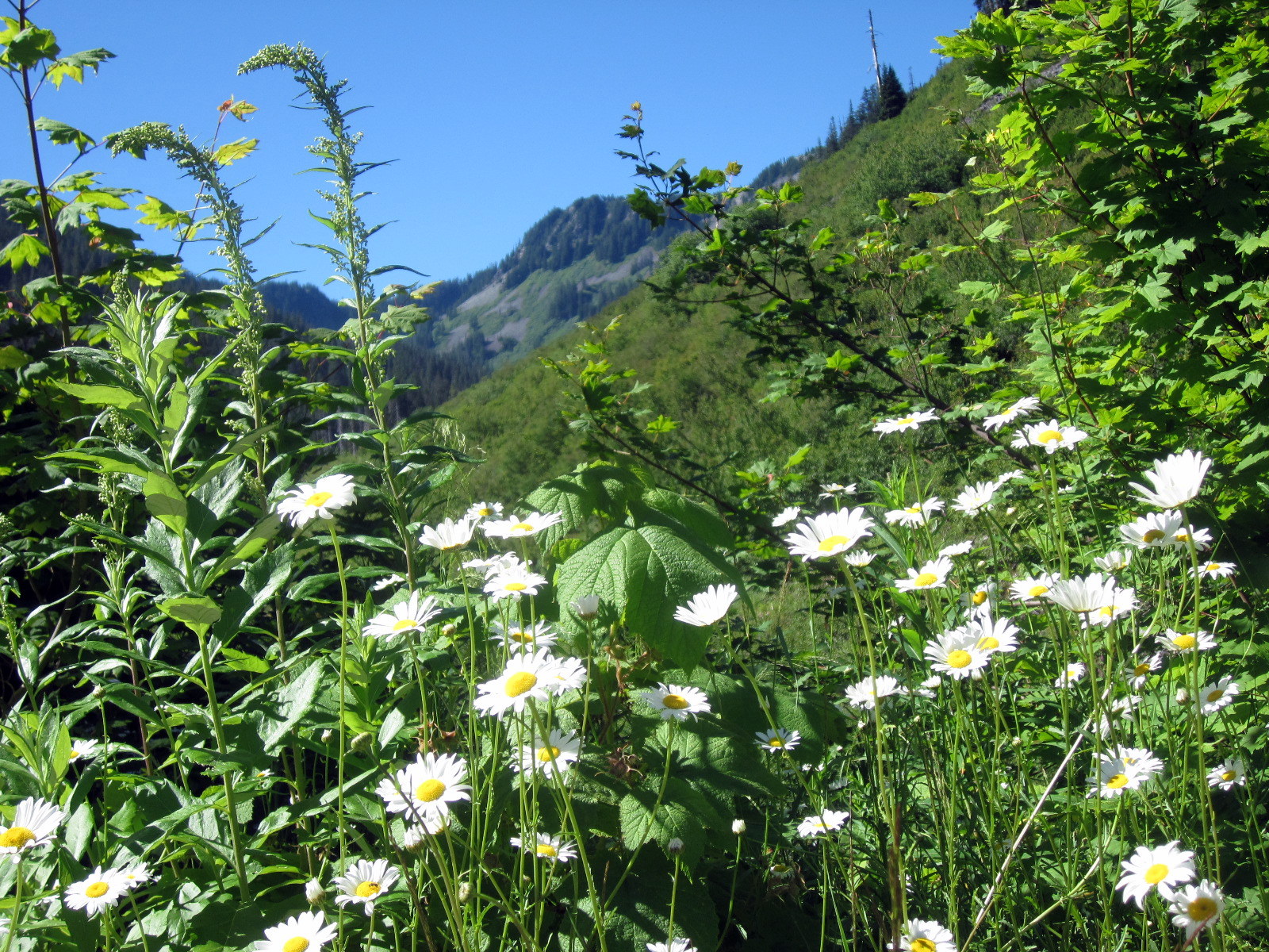 Mountains to Sound Greenway offers a bike tour on John Wayne Pioneer