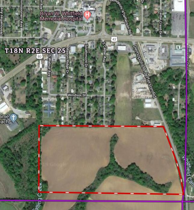 Demopolis Farm Land Bill Mackey