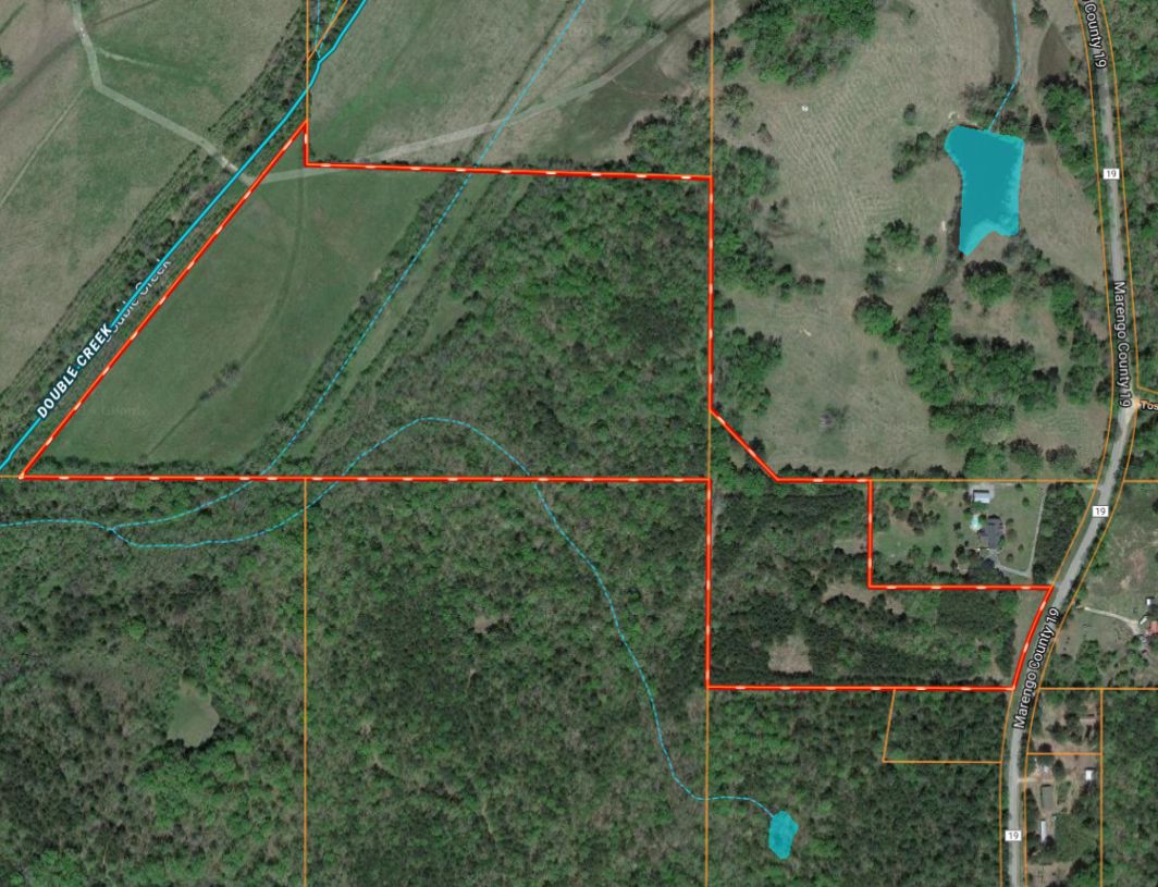 Marengo County 54+\ acres Hunting Land Bill Mackey