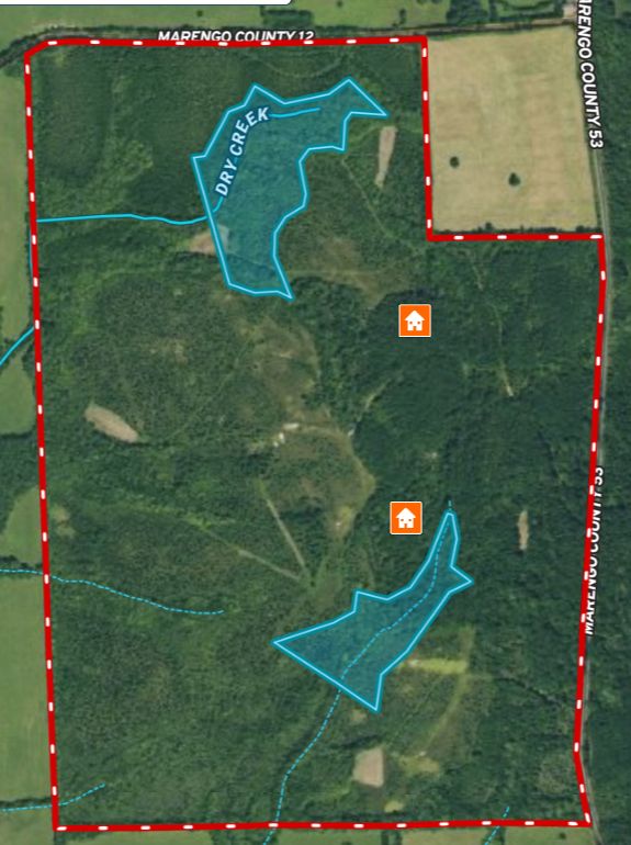 Marengo 420 acre Hunting Tract Bill Mackey