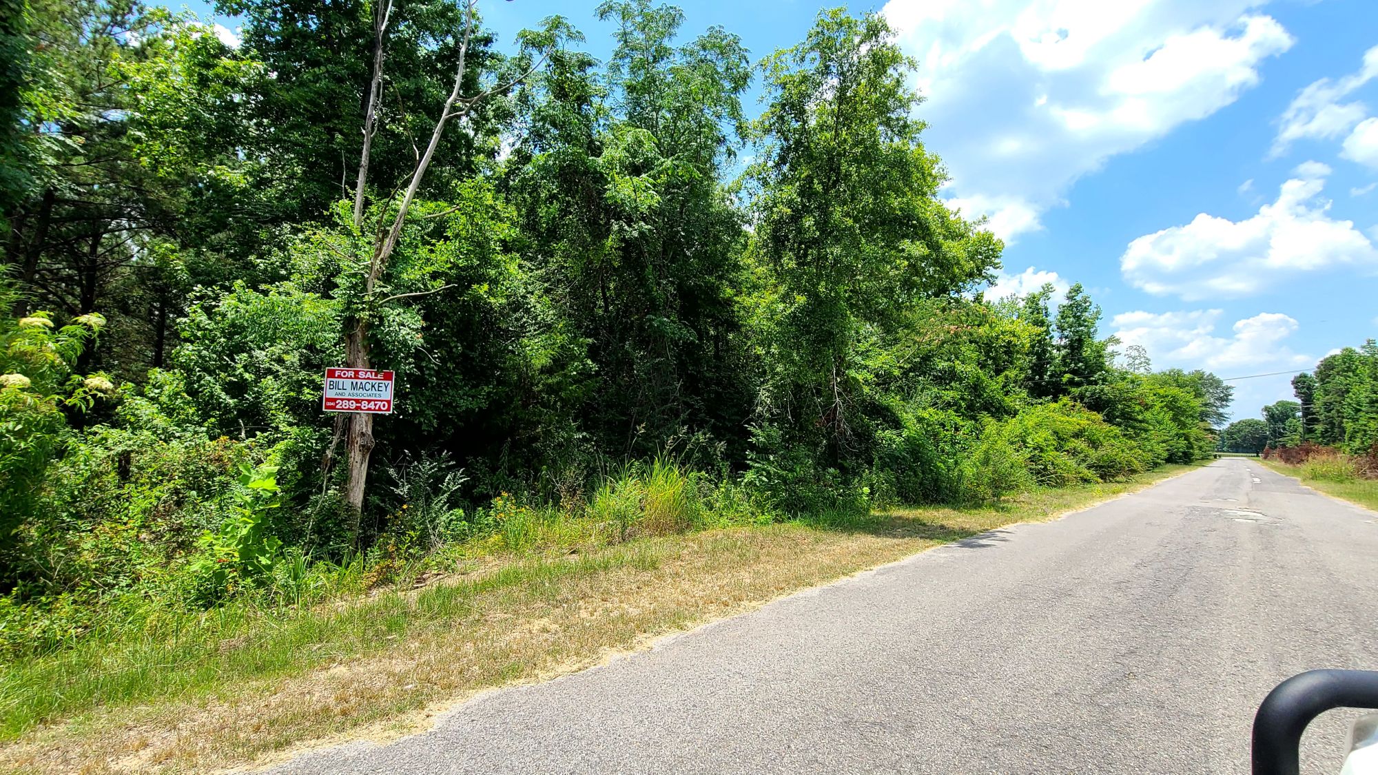 Joe Shade Estate 71+\ acres Bill Mackey