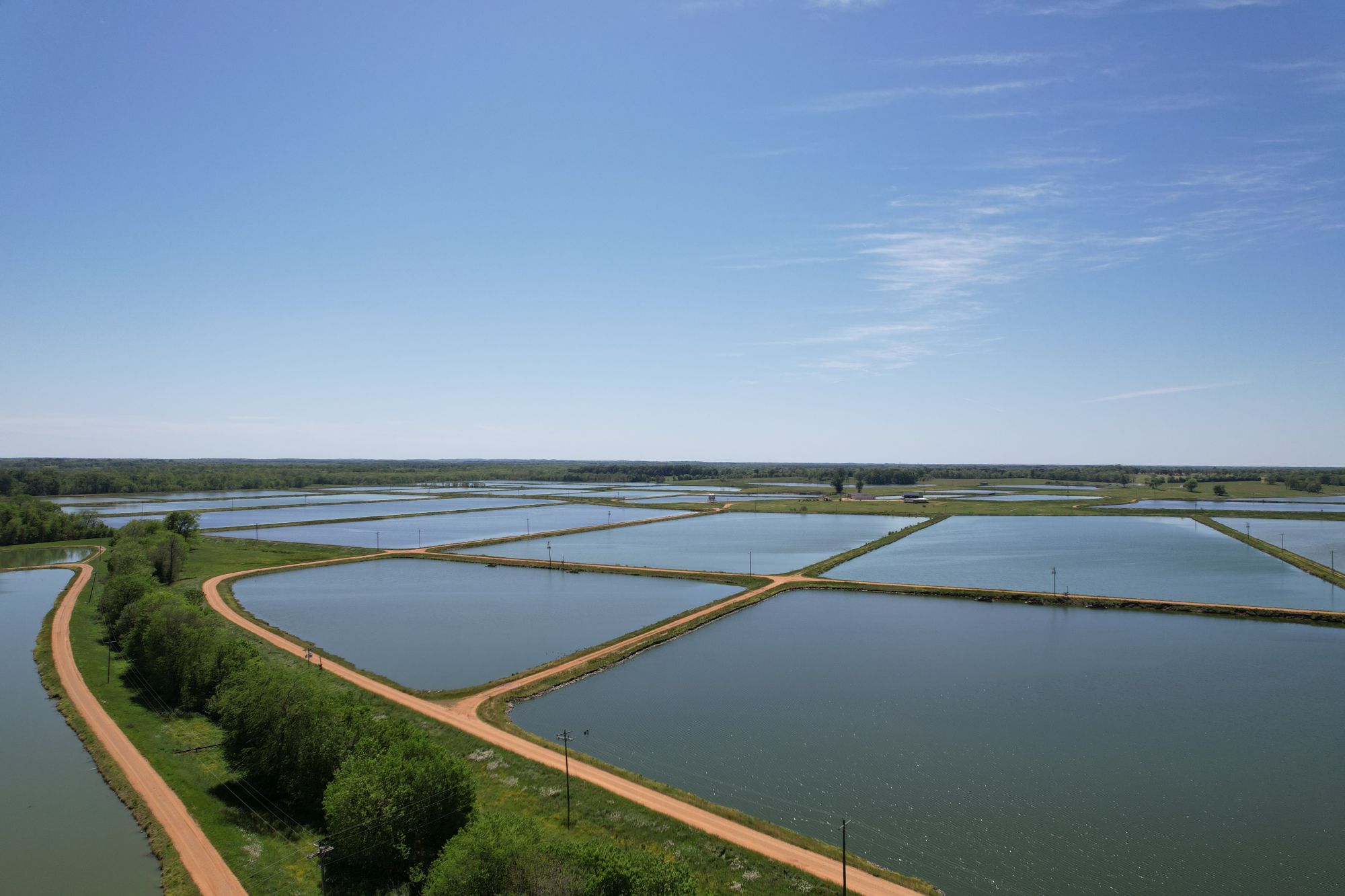 WCC Catfish Farm 777+\ acres Bill Mackey