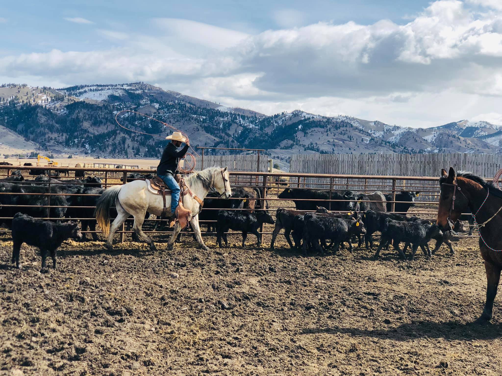 Ox Bow Ranch Bill Pelton Livestock, LLC