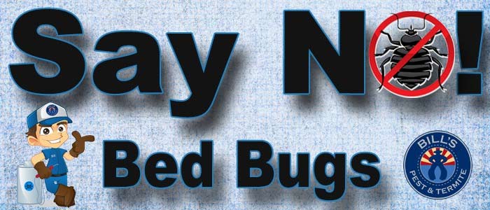 Bed Bug Control Avondale Az Avondale Bed Bug Treatment Exterminator