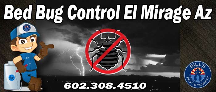 Bed Bug Control El Mirage Az El Mirage Bed Bug Treatment Exterminator