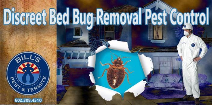 Discreet Bed Bug Removal Pest Control Phoenix Az Free Bed Bug Inspection