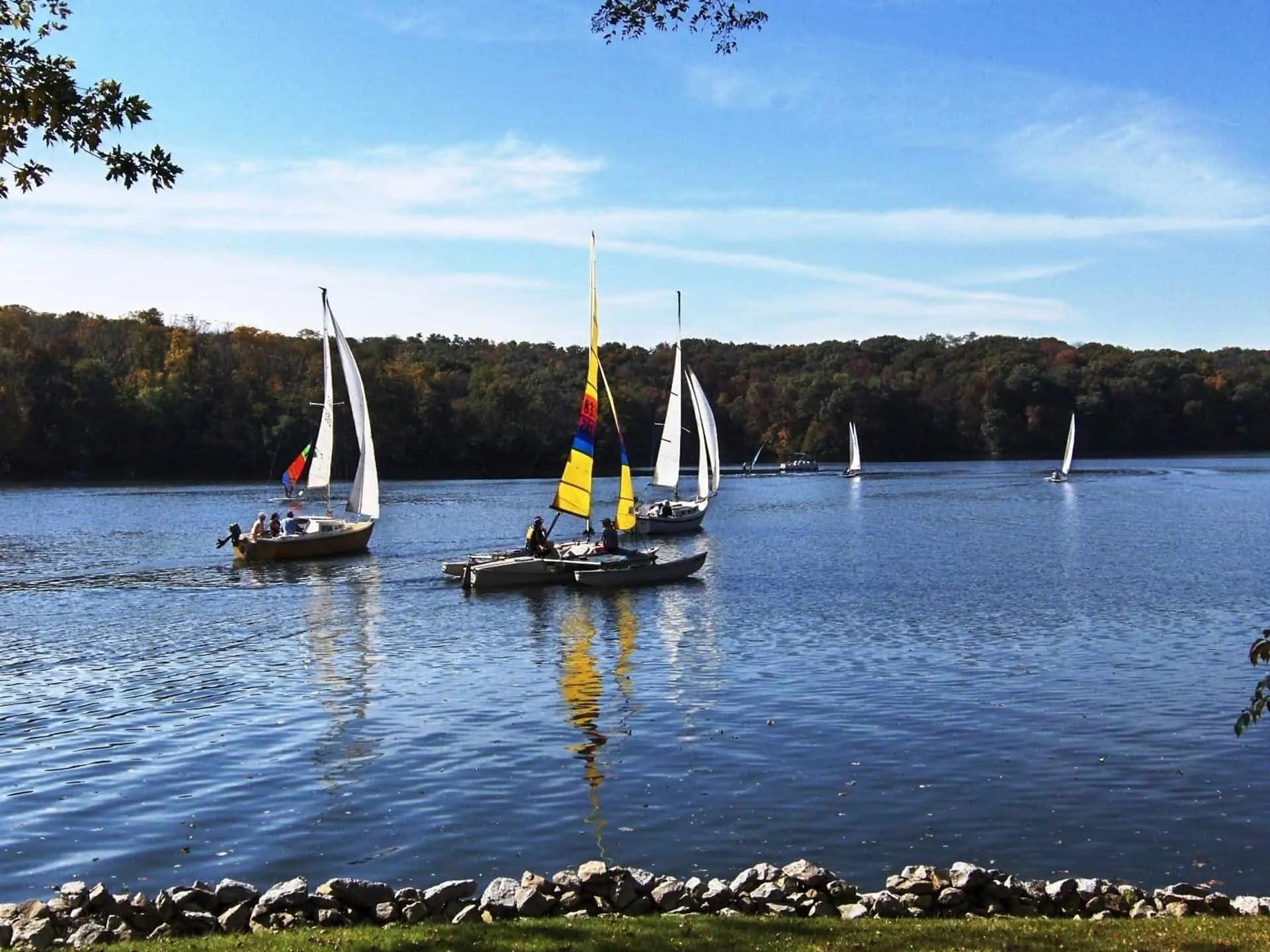 Johnson County Elite First Realty