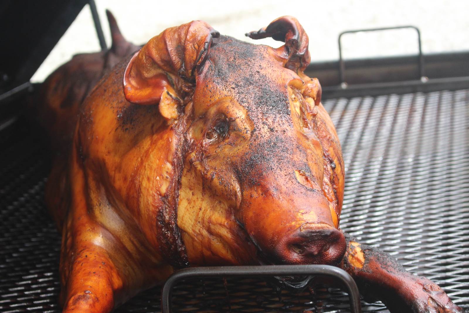 Spring Grove, IL Restaurant Photos Billy's Beef, Hot Dog's & More