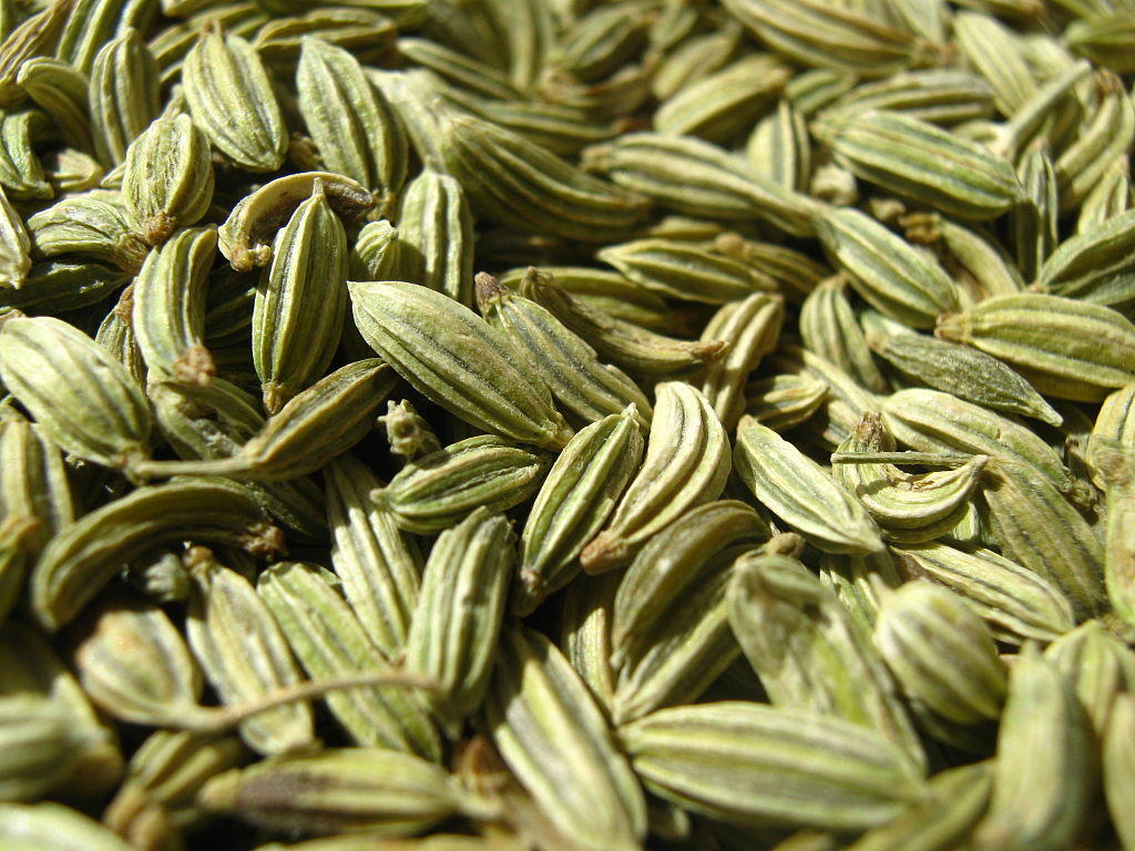 सौंफ के उपयोग, फायदे और नुकसान