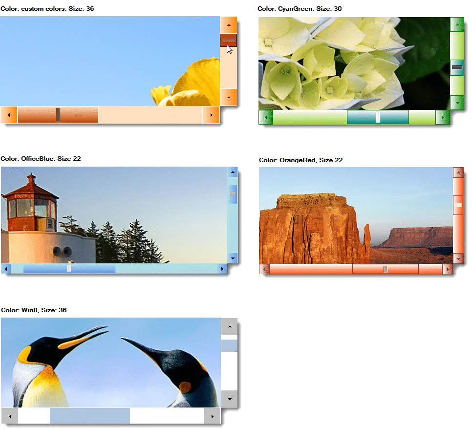 Custom Scrollbar Featuresrich custom Control for WinForms