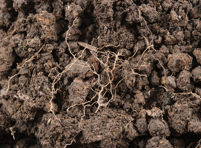 What is topsoil and how can it enhance growth of plants topsoil calculator