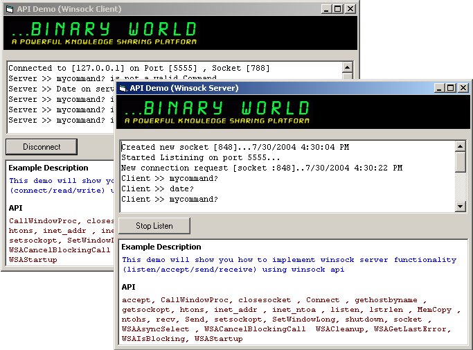 Binaryworld Windows Socket Programming tutorial Part1