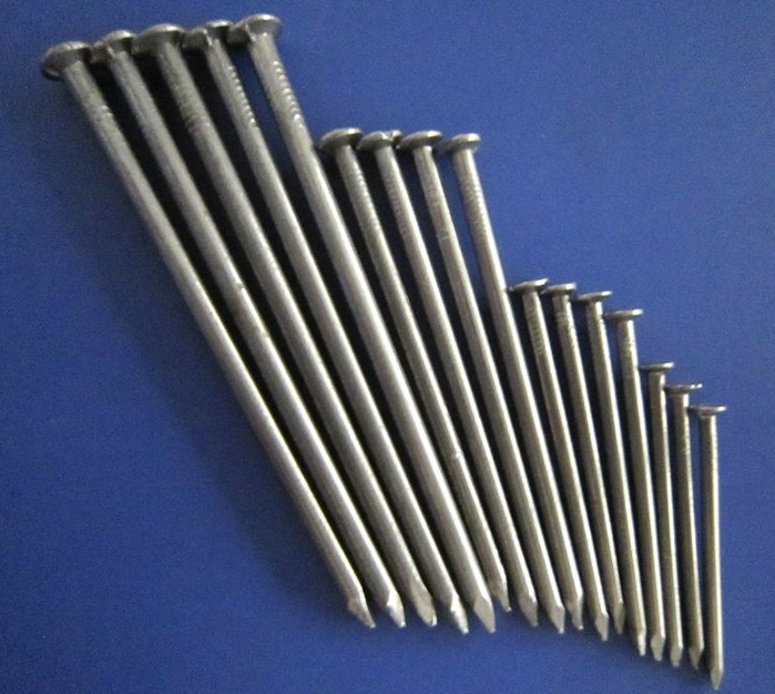 Polished Common Round Wire Nails Galvanized for Wooden Construction
