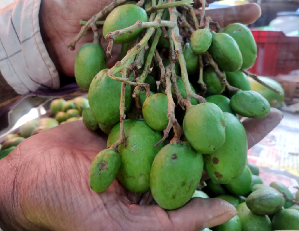 Appemidi Mango Bindu Gopal Rao, Freelance Writer & Photographer