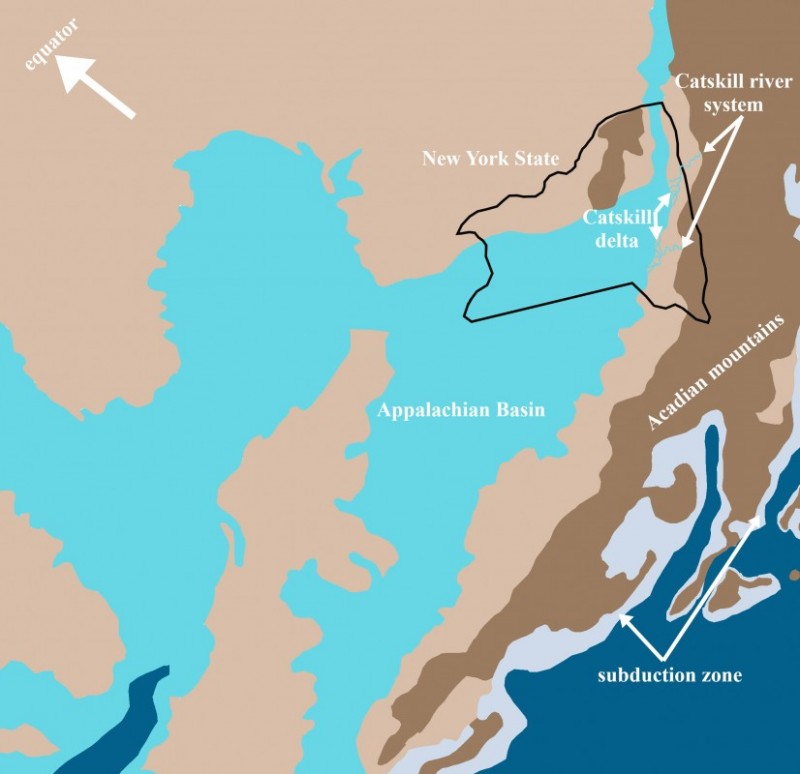 Preserving ‘the world’s oldest forest’ in Upstate New York Binghamton News