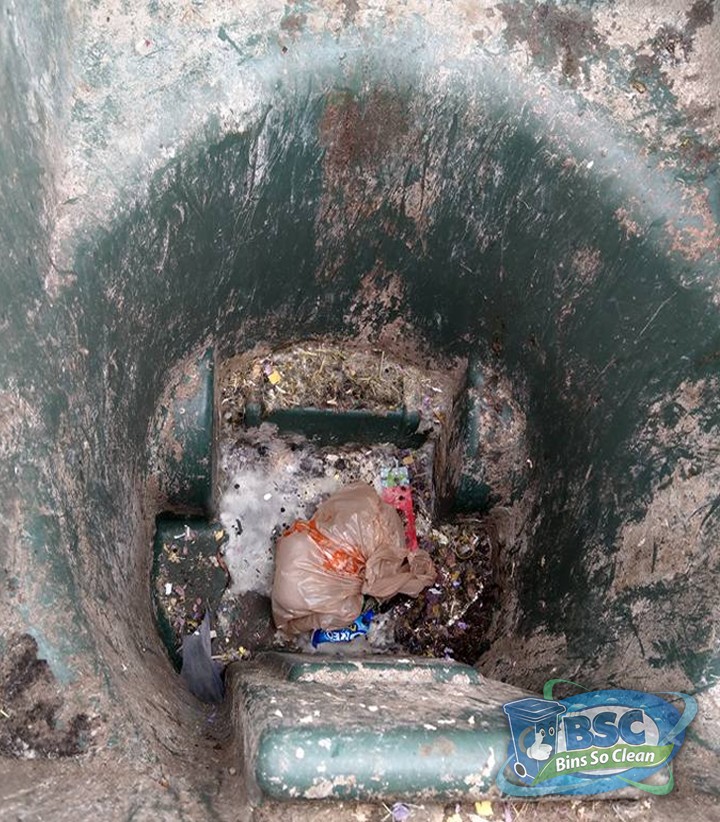 See the Difference! Bins So Clean