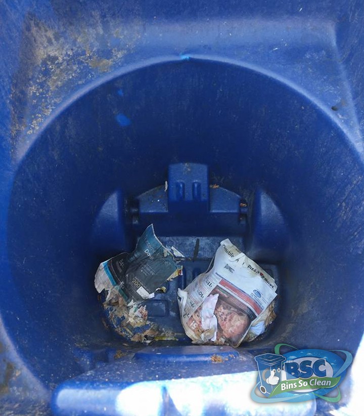 See the Difference! Bins So Clean