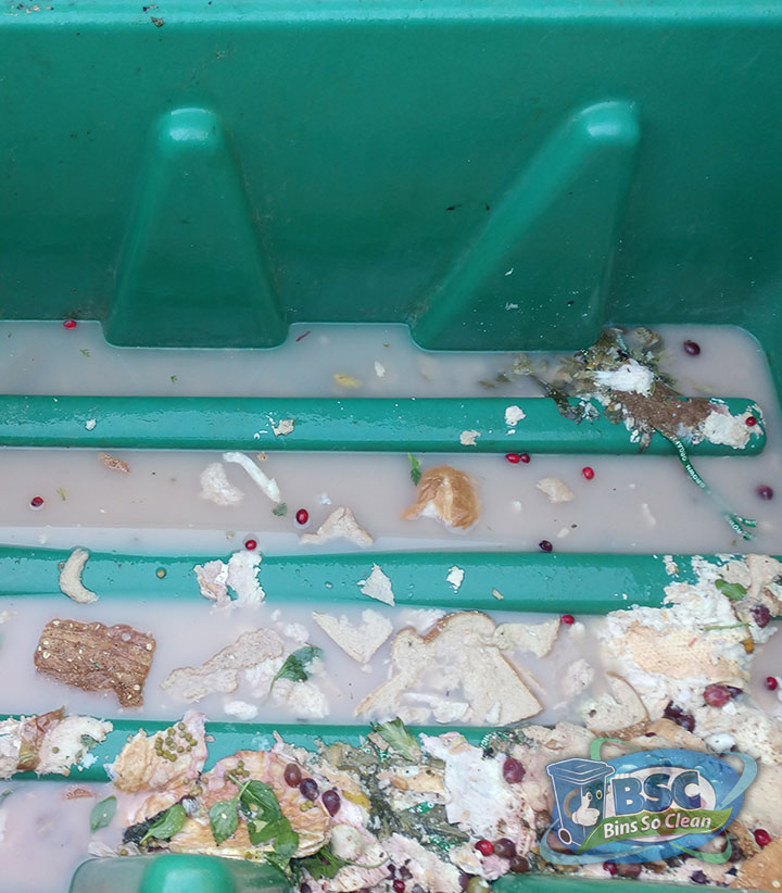 See the Difference! Bins So Clean