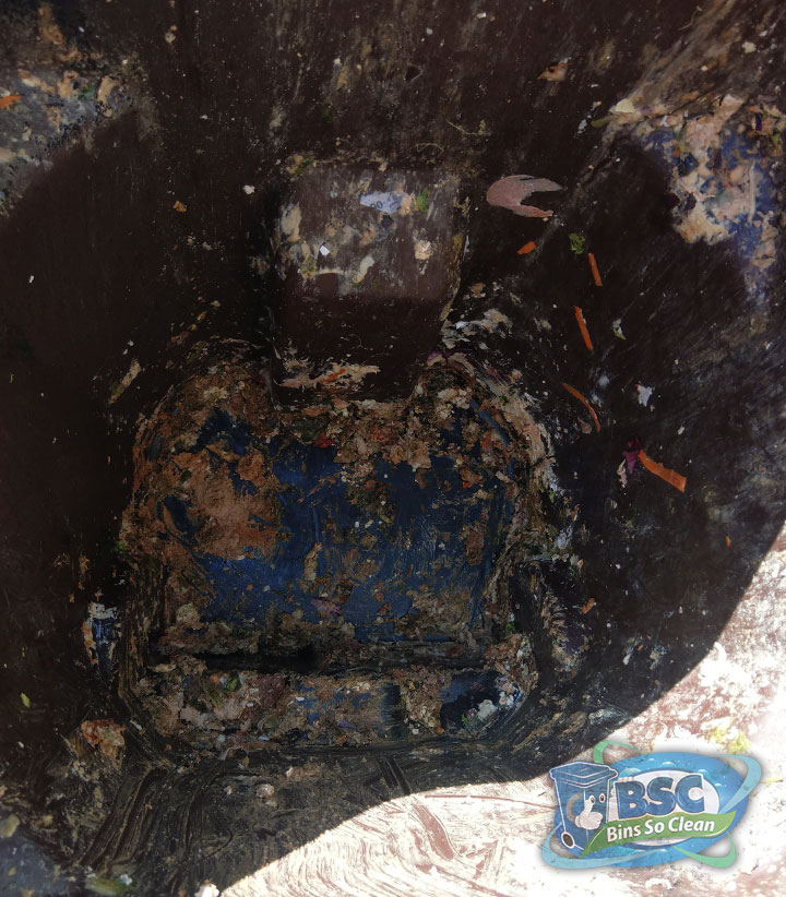 See the Difference! Bins So Clean