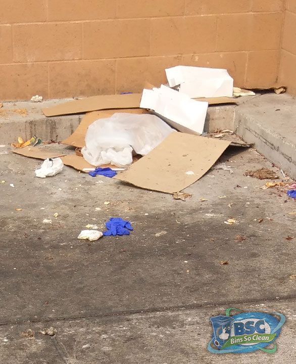 See the Difference! Bins So Clean