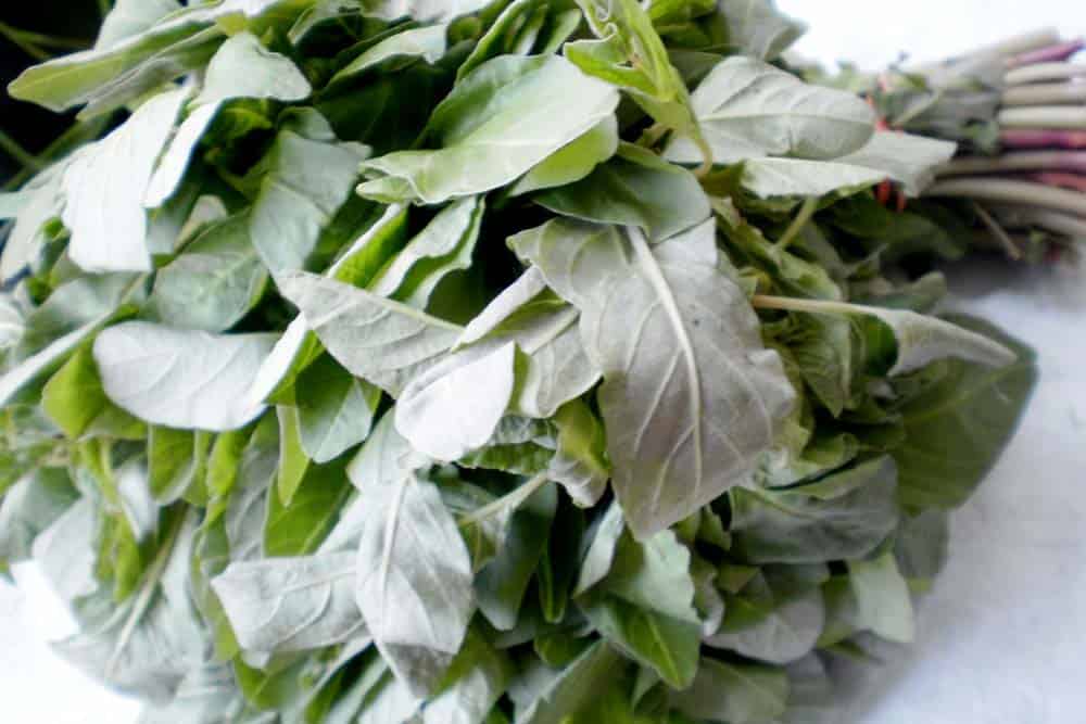 Amaranth Leaves the Jamaican way BIZ