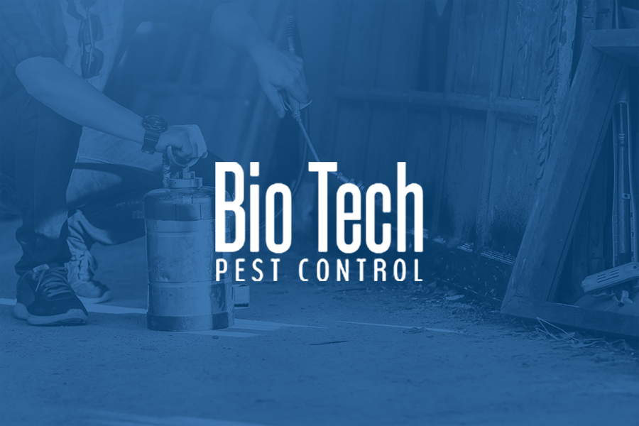Pest Control Raymond, NH We Offer Complimentary Inspections!
