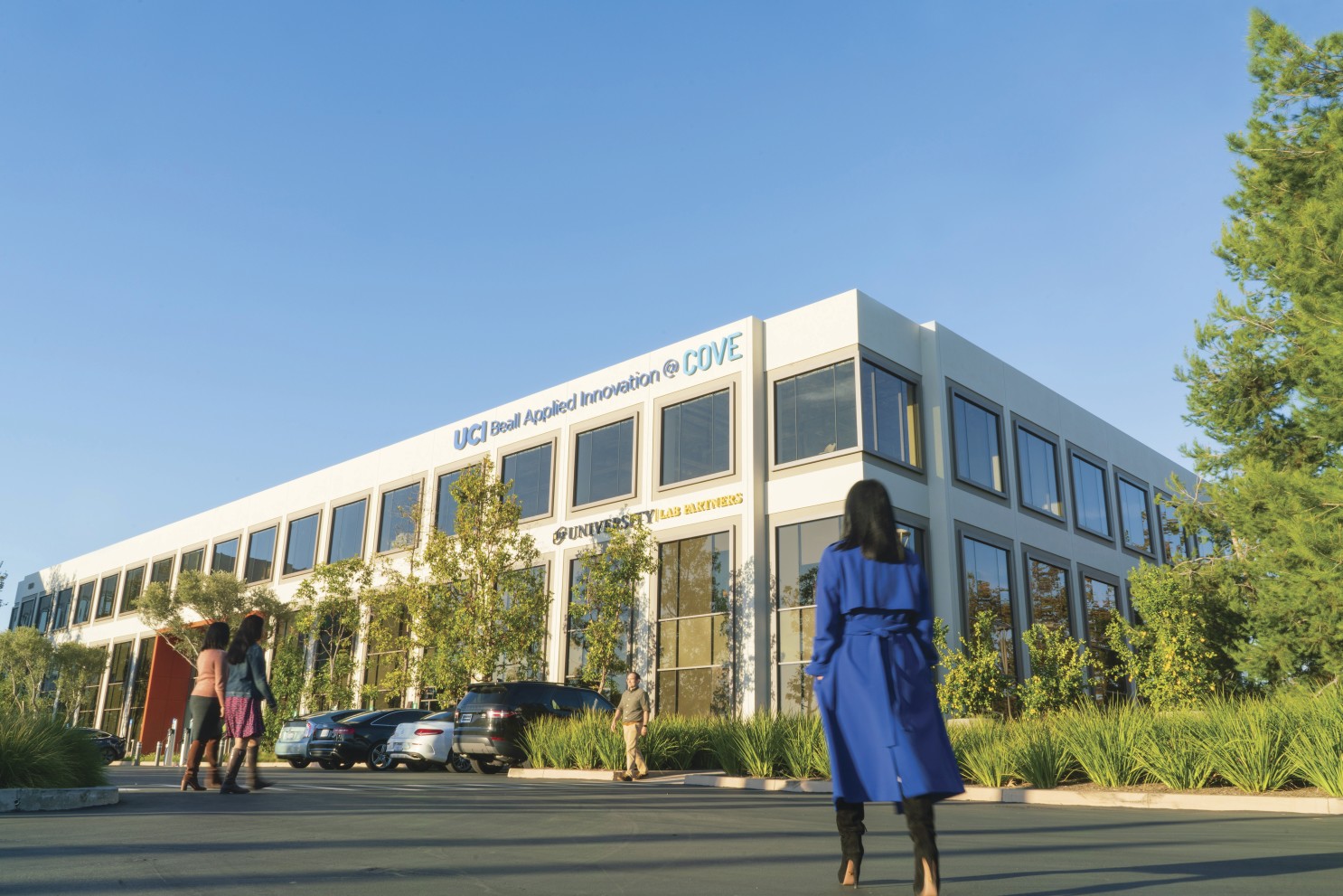 Innovation School of Biological Sciences